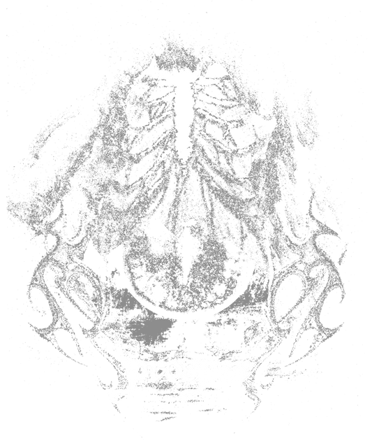 VISIONS